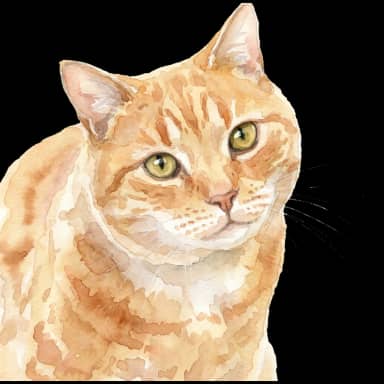 Cat in Watercolor style
