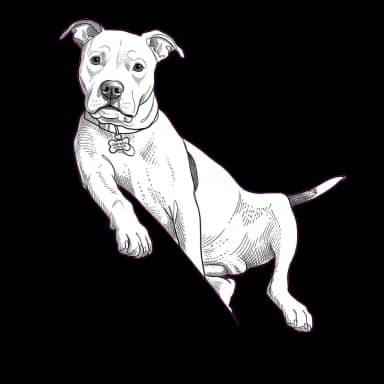 Cash in Minimal Line Art style