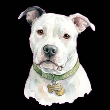 Cash in Watercolor style