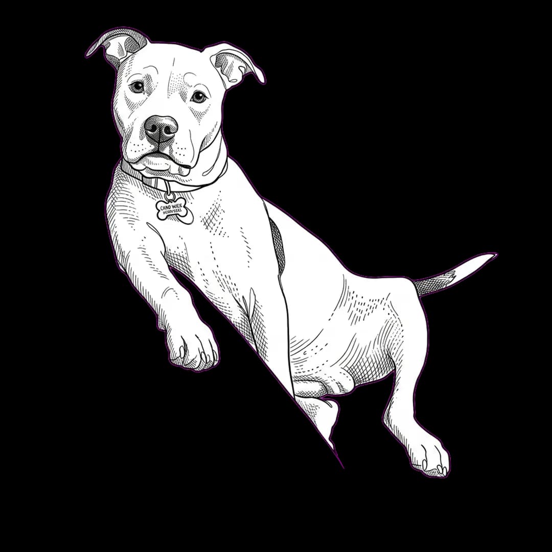 Cash Minimal Line Art pet portrait artwork