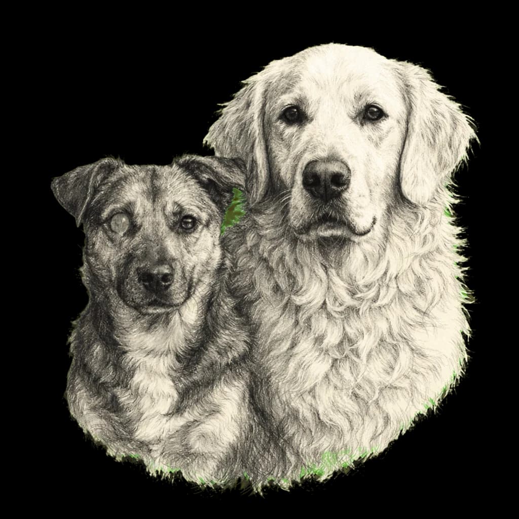 Pencil Sketch pet portrait example artwork from the PawForge style catalog.