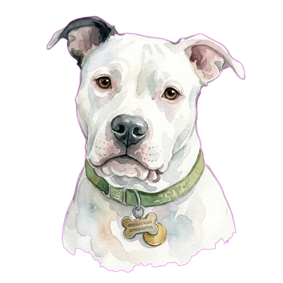 Cash Watercolor artwork